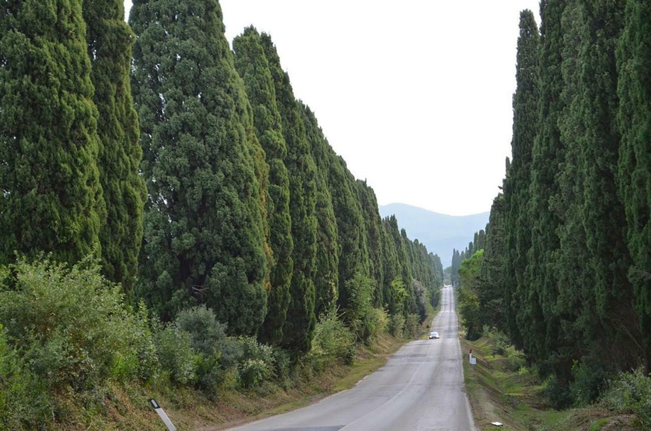 Casalevecchio Διαμέρισμα Casale Marittimo Εξωτερικό φωτογραφία
