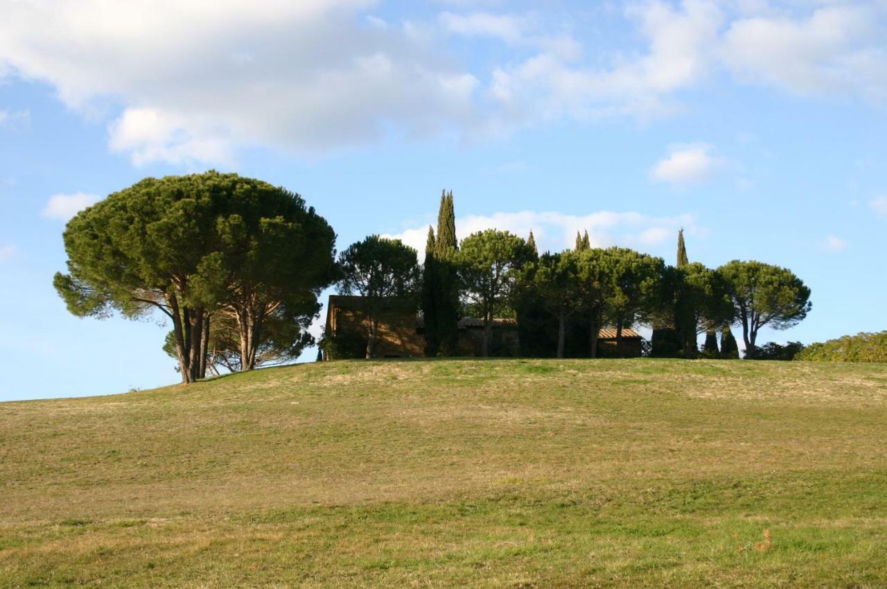Casalevecchio Διαμέρισμα Casale Marittimo Εξωτερικό φωτογραφία
